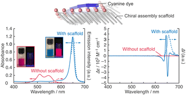 Graphical abstract: Controlled packing of chiral assembly scaffolds to promote chiral J-aggregation of carbocyanine dyes