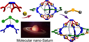 Graphical abstract: Sequential self-assembly of calix[4]resorcinarene-based heterobimetallic Cd8Pt8 nano-Saturn complexes