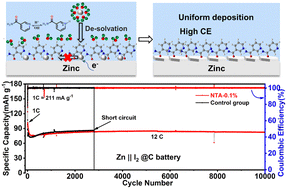 Graphical abstract: Versatile nicotinamide enabling dendrite-free and efficient deposition for aqueous Zn-I2 batteries