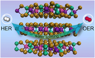 Graphical abstract: Co doping promotes the alkaline overall seawater electrolysis performance over MnPSe3 nanosheets