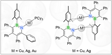 Graphical abstract: Coinage metal complexes of BN analogues of m-terphenyl ligands