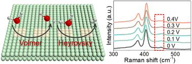 Graphical abstract: Coupling MoS2 nanosheets with CeO2 for efficient electrocatalytic hydrogen evolution at large current densities