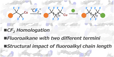 Graphical abstract: Difluoromethylene insertion into fluoroalkyl copper complexes