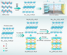 Graphical abstract: Oxygen vacancy enriched Na1.19V8O20·4.42H2O nanosheets for fast and stable Zn-ion batteries