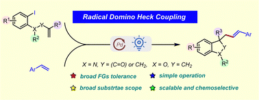 Graphical abstract: Photoinduced radical cascade domino Heck coupling of N-aryl acrylamide with vinyl arenes enabled by palladium catalysis