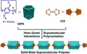 Graphical abstract: Constructing a solid-state supramolecular polymer based on host–guest recognition between perethylated pillar[5]arene and tetrathiafulvalene