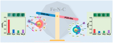 Graphical abstract: Distinct dual enzyme-like activities of Fe–N–C single-atom nanozymes enable discriminative detection of cellular glutathione