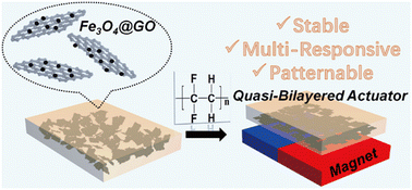 Graphical abstract: Magnetic field-assisted fabrication of quasi-bilayered, multi-responsive and patternable actuators