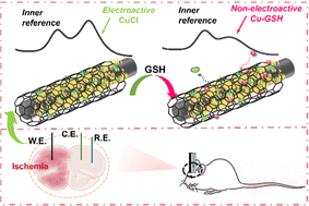 Graphical abstract: In vivo monitoring of glutathione in a live rat brain based on the ratiometric signal output of 2D Cu-TCPP(Fe) nanosheets