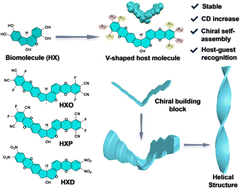 Graphical abstract: V-shaped chiral hosts based on π-extended hematoxylin
