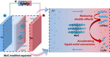 Graphical abstract: Steering the liquid–solid redox conversion of lithium–selenium batteries through ultrafine MoC catalyst