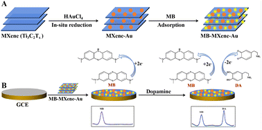 Graphical abstract: An electrochemical ratiometric biosensor for the detection of dopamine based on an MXene-Au nanocomposite