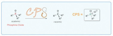 Graphical abstract: Unexpected rapid P-stereomutation of phosphine oxides catalysed by chlorophosphonium salts