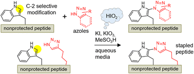 Graphical abstract: Selective modification of tryptophan in polypeptides via C–N coupling with azoles using in situ-generated iodine-based oxidants in aqueous media