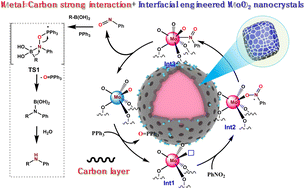Graphical abstract: Enhancing reductive C–N coupling of nitrocompounds through interfacial engineering of MoO2 in thin carbon layers