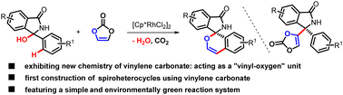 Graphical abstract: Rhodium-catalyzed divergent dehydroxylation/alkenylation of hydroxyisoindolinones with vinylene carbonate