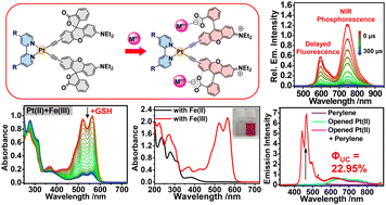 Graphical abstract: Multifunctional bisalkynylplatinum(ii) bipyridine complexes with rhodamine-like ligands featuring near-infrared phosphorescence and delayed fluorescence