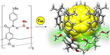 Graphical abstract: Intermolecular hydrogen bonding in calix[5]arene derived cavitands regulates the molecular recognition of fullerenes