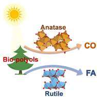 Graphical abstract: Phase-dependent selectivity control over TiO2 in the photocatalytic oxidation of bio-polyols