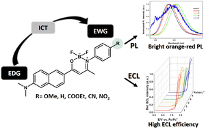 Graphical abstract: Electrochemiluminescence of dimethylaminonaphthalene-oxazaborine donor–acceptor luminophores