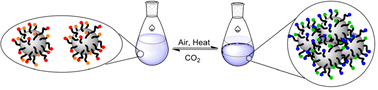 Graphical abstract: CO2-Switchable colloids