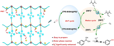 Graphical abstract: Construction of an efficient artificial light-harvesting system based on hyperbranched polyethyleneimine and improvement of photocatalytic performance