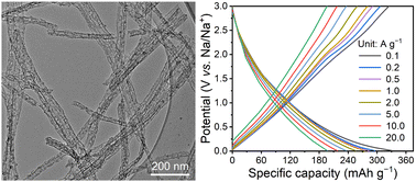 Graphical abstract: Ion-catalyzed synthesis of N/O co-doped carbon nanorods with hierarchical pores for high-rate Na-ion storage