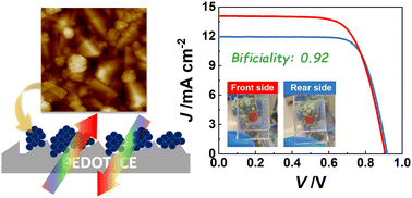 Graphical abstract: Transparent PEDOT counter electrodes for bifacial dye-sensitized solar cells using a cobalt complex mediator