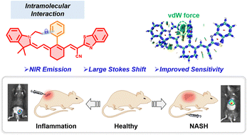 Graphical abstract: Strategic design of an NIR probe for viscosity imaging in inflammatory and non-alcoholic steatohepatitis mice