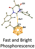 Graphical abstract: Highly phosphorescent carbene–metal–carboranyl complexes of copper(i) and gold(i)