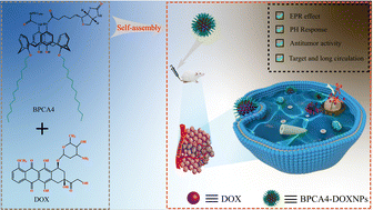 Graphical abstract: Novel biotin-linked amphiphilic calix[4]arene-based supramolecular micelles as doxorubicin carriers for boosted anticancer activity