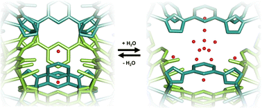 Graphical abstract: Water vapour induced structural flexibility in a square lattice coordination network