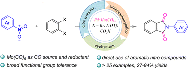 Graphical abstract: Direct synthesis of phthalimides via palladium-catalysed double carbonylation of o-dihaloarenes with nitroarenes