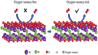 Graphical abstract: Oxygen vacancy-promoted photocatalytic H2O2 production over bismuth oxybromide nanosheets