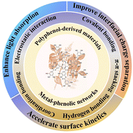 Graphical abstract: Functions of metal–phenolic networks and polyphenol derivatives in photo(electro)catalysis