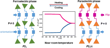 Graphical abstract: Exceptional structural phase transition near room temperature in an organic–inorganic hybrid ferroelectric