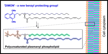 Graphical abstract: 1,4-Dimethoxynaphthalene-2-methyl (‘DIMON’), an oxidatively labile protecting group for synthesis of polyunsaturated lipids