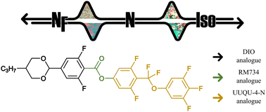 Graphical abstract: Enantiotropic ferroelectric nematic phase in a single compound