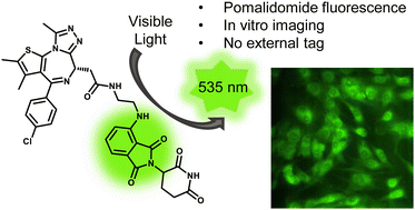 Graphical abstract: Utilising the intrinsic fluorescence of pomalidomide for imaging applications