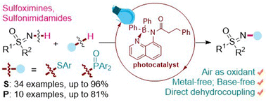 Graphical abstract: Organoboron/iodide-catalyzed photoredox N-functionalization of NH-sulfoximines/sulfonimidamides