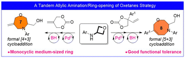 Graphical abstract: Synthesis of medium-sized heterocycles from oxetanes based on an allylic amination/ring-opening strategy