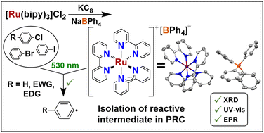Graphical abstract: Isolation of the elusive [Ru(bipy)3]+: a key intermediate in photoredox catalysis