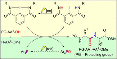 Graphical abstract: Peptide coupling using recyclable bicyclic benziodazolone