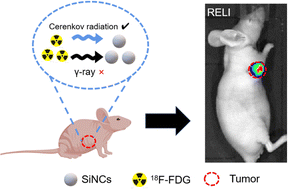 Graphical abstract: Cerenkov radiation-mediated in situ activation of silicon nanocrystals for NIR optical imaging