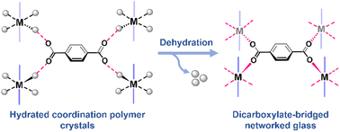 Graphical abstract: Creating glassy states of dicarboxylate-bridged coordination polymers