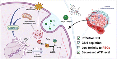 Graphical abstract: Concurrent Cu(ii)-initiated Fenton-like reaction and glutathione depletion to escalate chemodynamic therapy