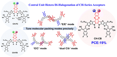 Graphical abstract: Central unit hetero-di-halogenation of acceptors enables organic solar cells with 19% efficiency