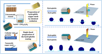 Graphical abstract: Preparation of a Janus copper mesh via nanoparticle interface self-assembly for unidirectional water transportation