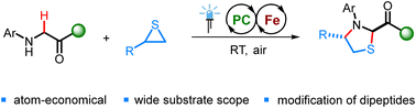 Graphical abstract: Direct annulation between glycine derivatives and thiiranes through photoredox/iron cooperative catalysis