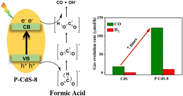Graphical abstract: Boosting photocatalytic conversion of formic acid to CO over P-doped CdS